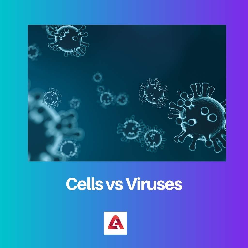 Cells vs Viruses