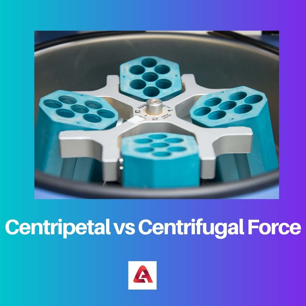 Centripetal vs Centrifugal Force