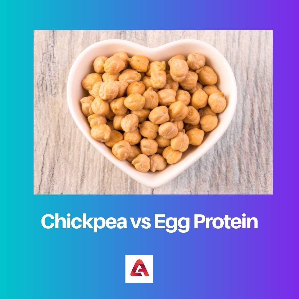 Chickpea vs Egg Protein
