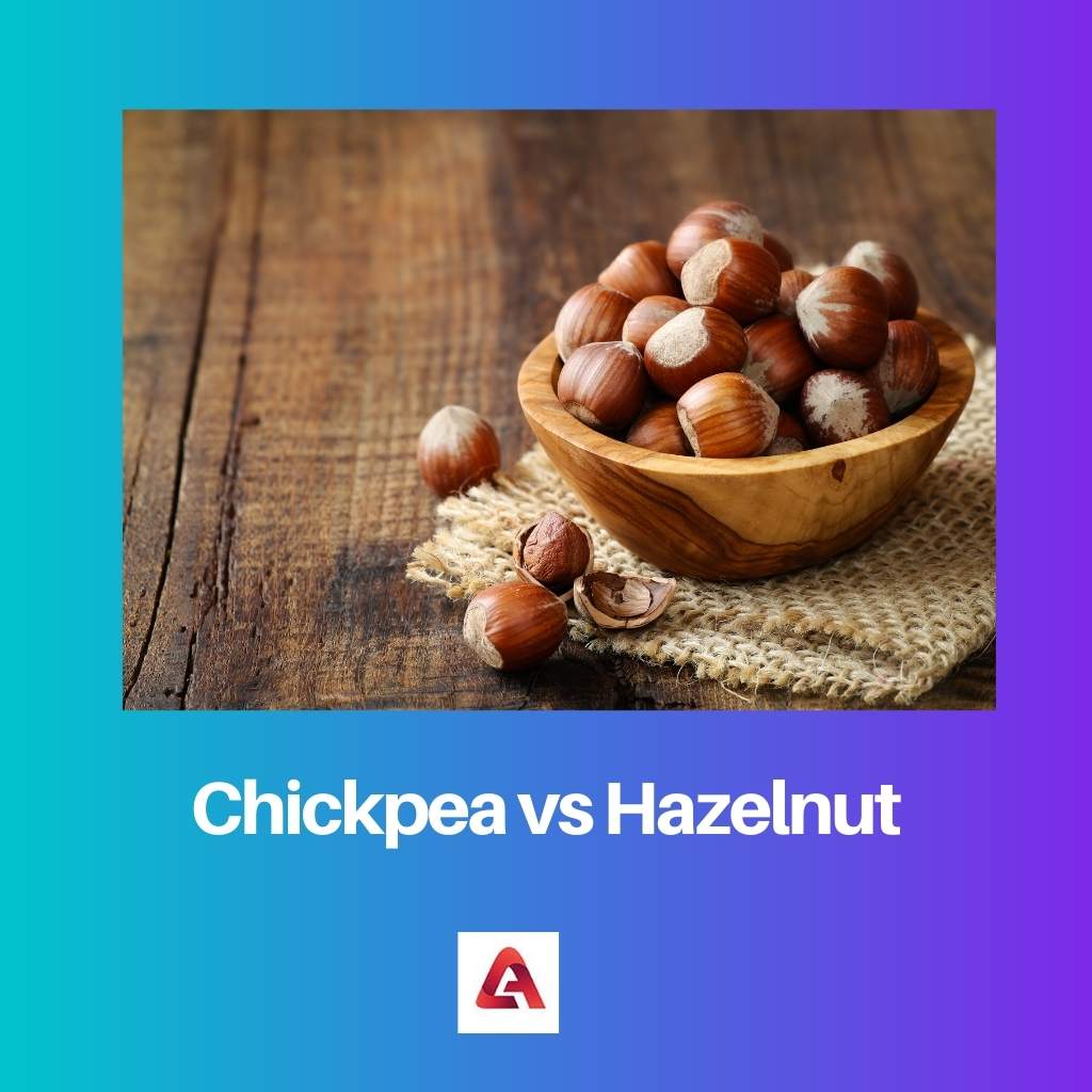 Chickpea vs Hazelnut