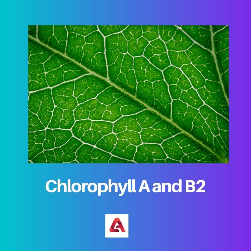 Chlorophyll A and B2
