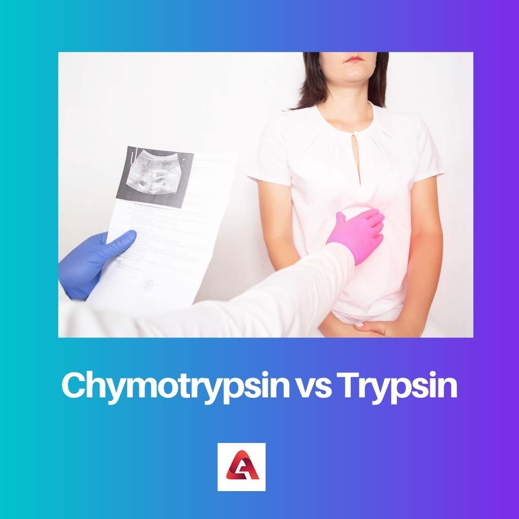 Chymotrypsin vs Trypsin