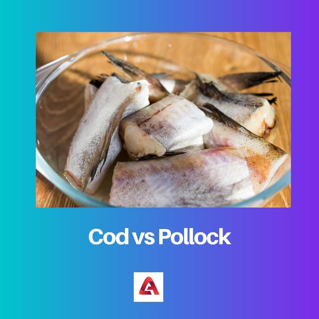 Cod vs Pollock