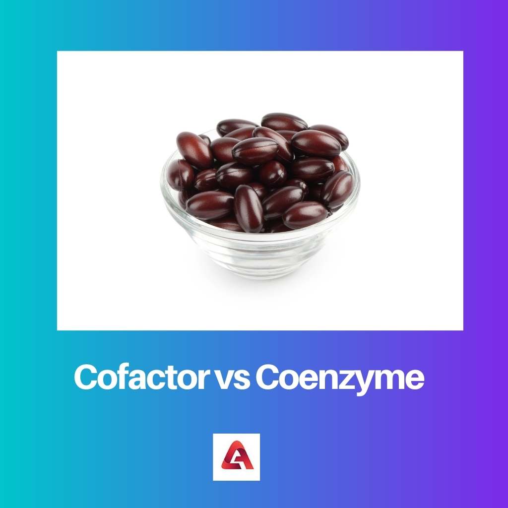 Cofactor vs Coenzyme