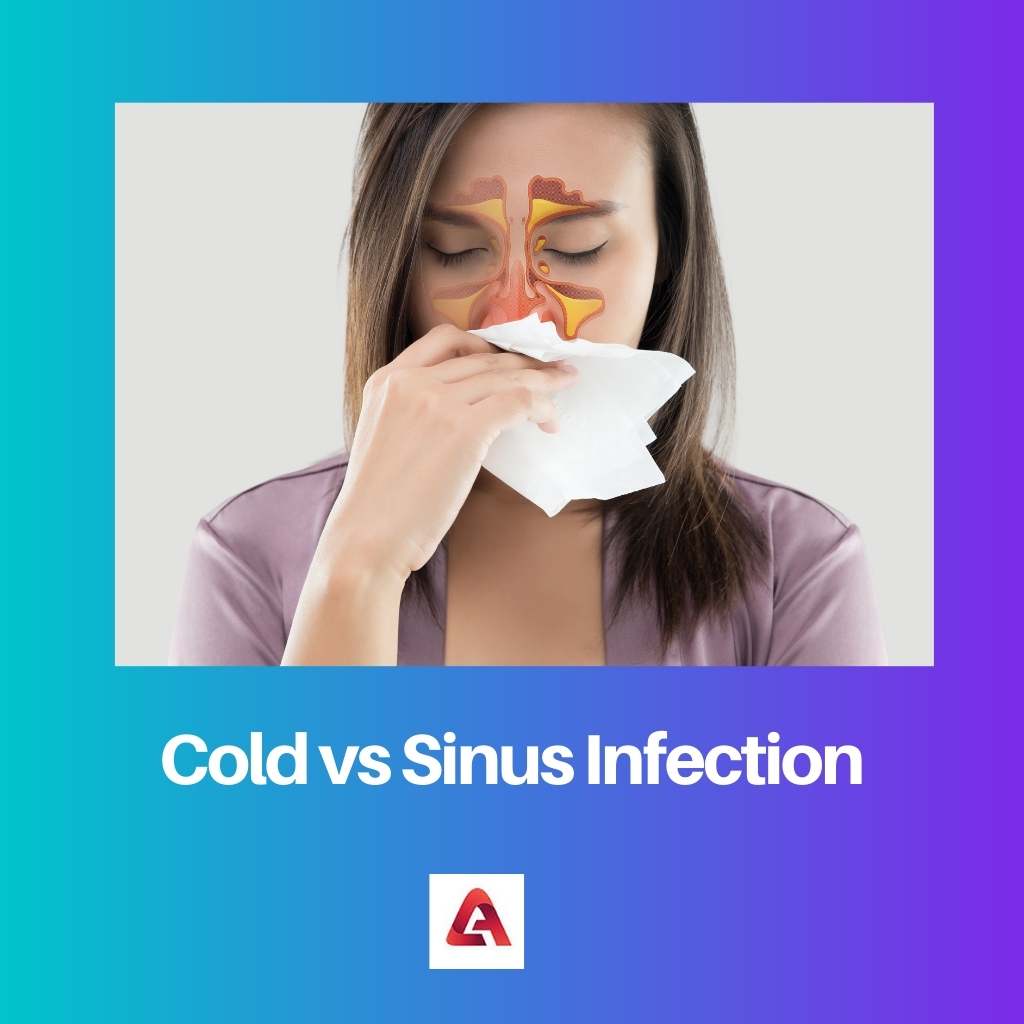 Cold vs Sinus Infection