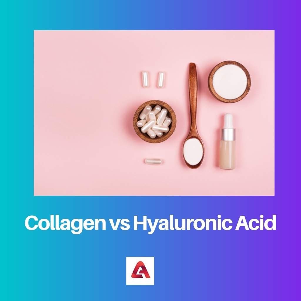 Collagen vs Hyaluronic Acid