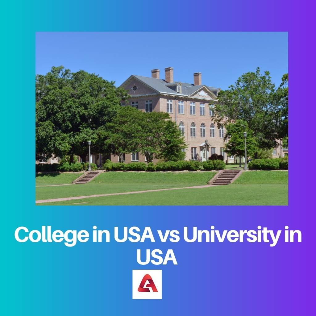College in USA vs University in USA