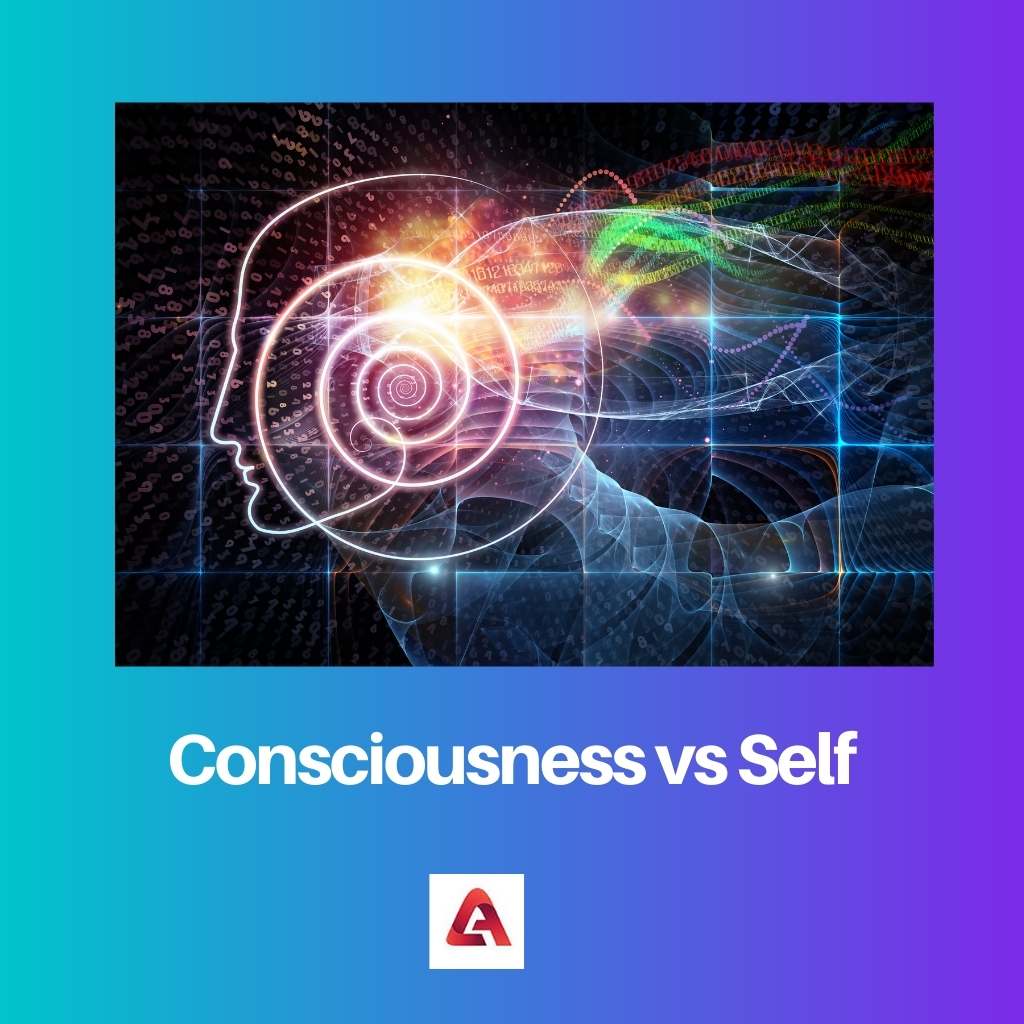 Consciousness vs Self