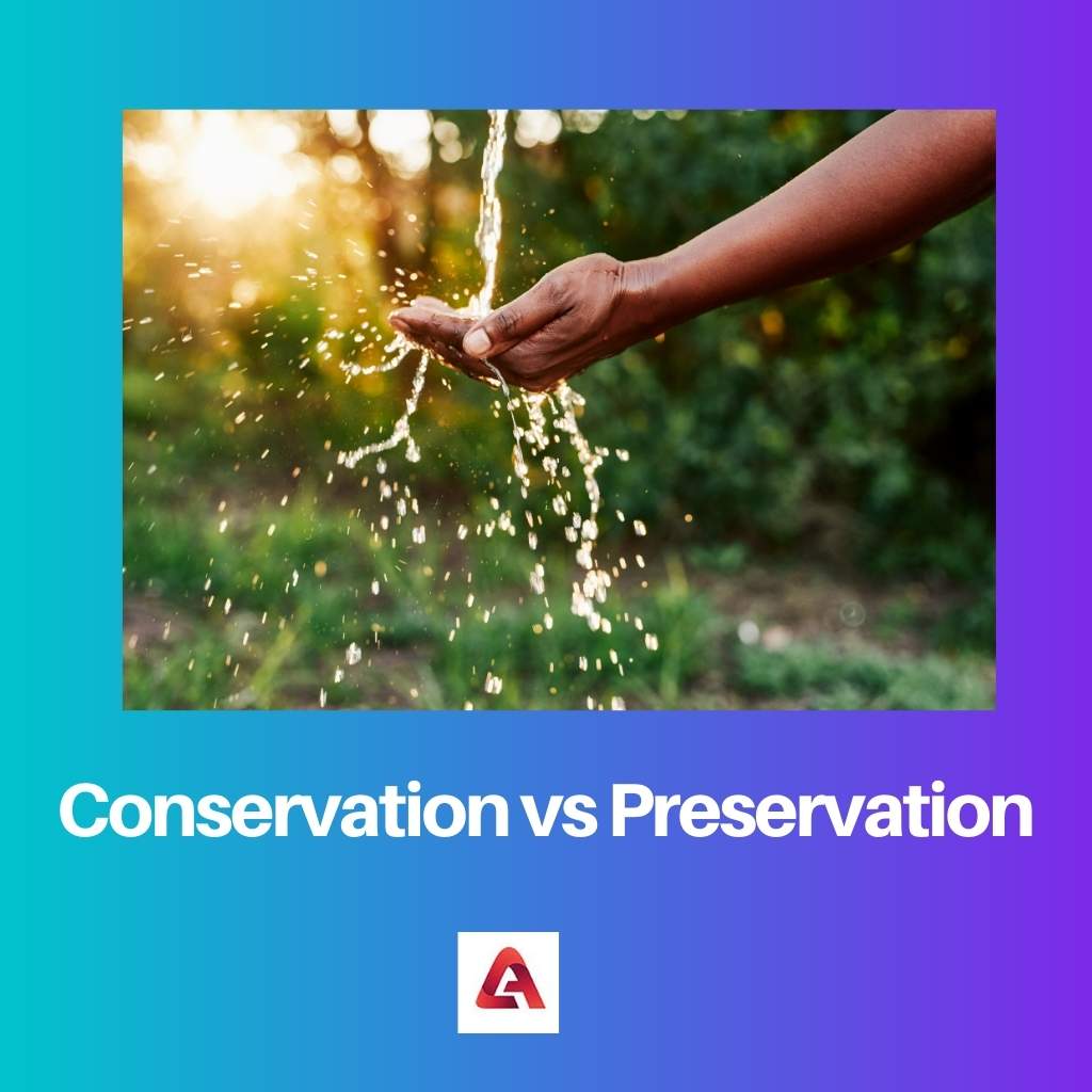 Conservation vs Preservation 1