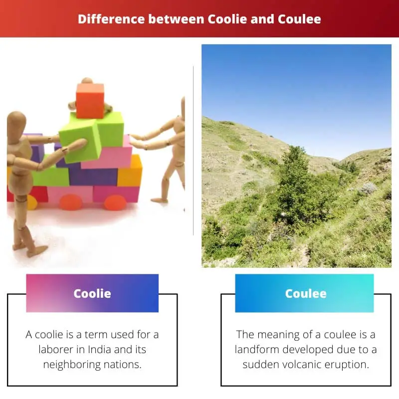 Coolie vs Coulee – All the differences