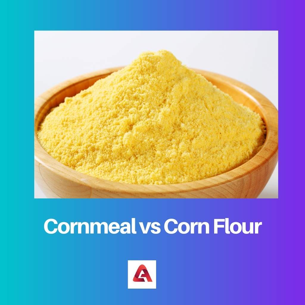 Cornmeal vs Corn Flour
