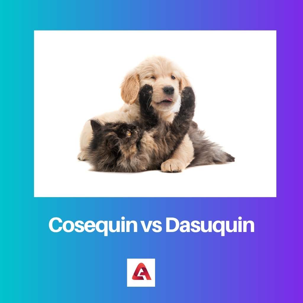 Cosequin vs Dasuquin