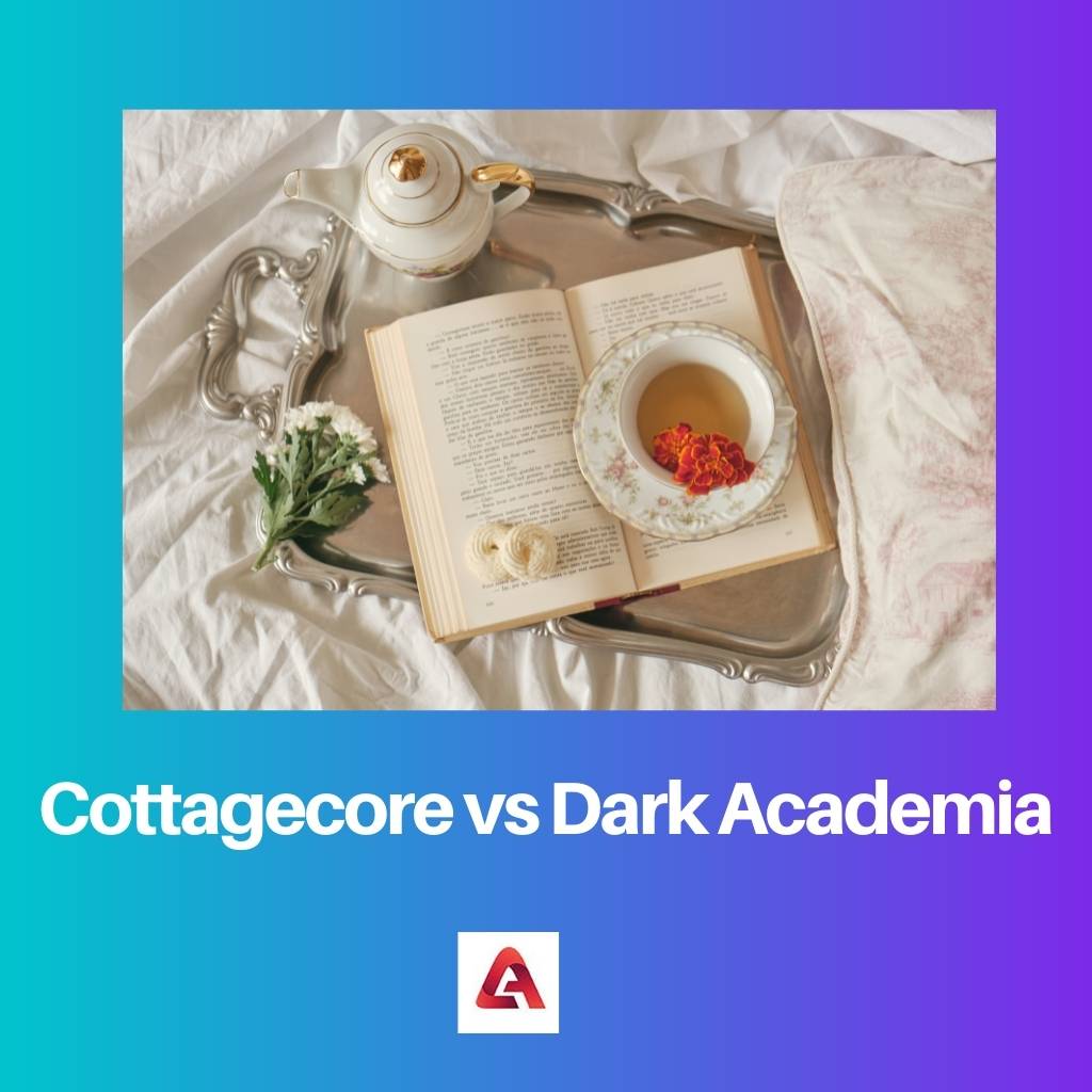 Cottagecore vs Dark Academia