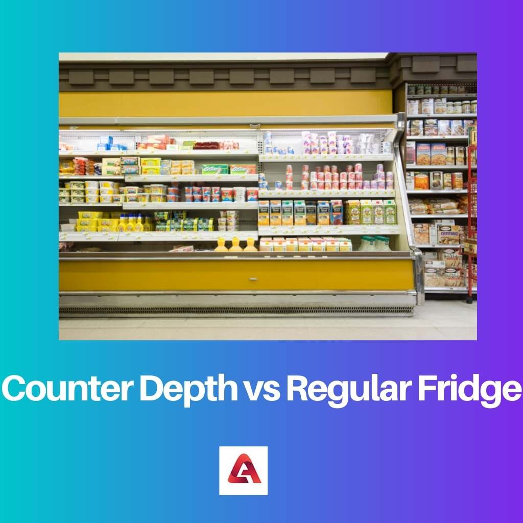 Counter Depth vs Regular Fridge