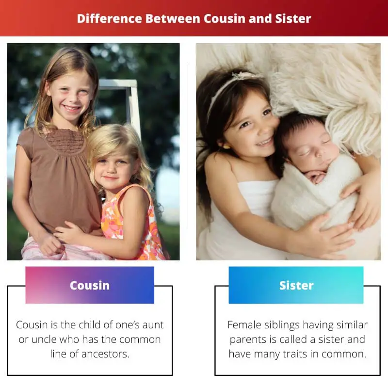 Cousin vs Sister – Difference Between Cousin and Sister