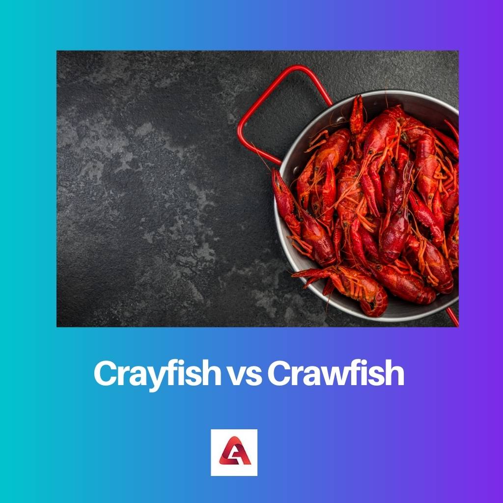 Crayfish vs Crawfish