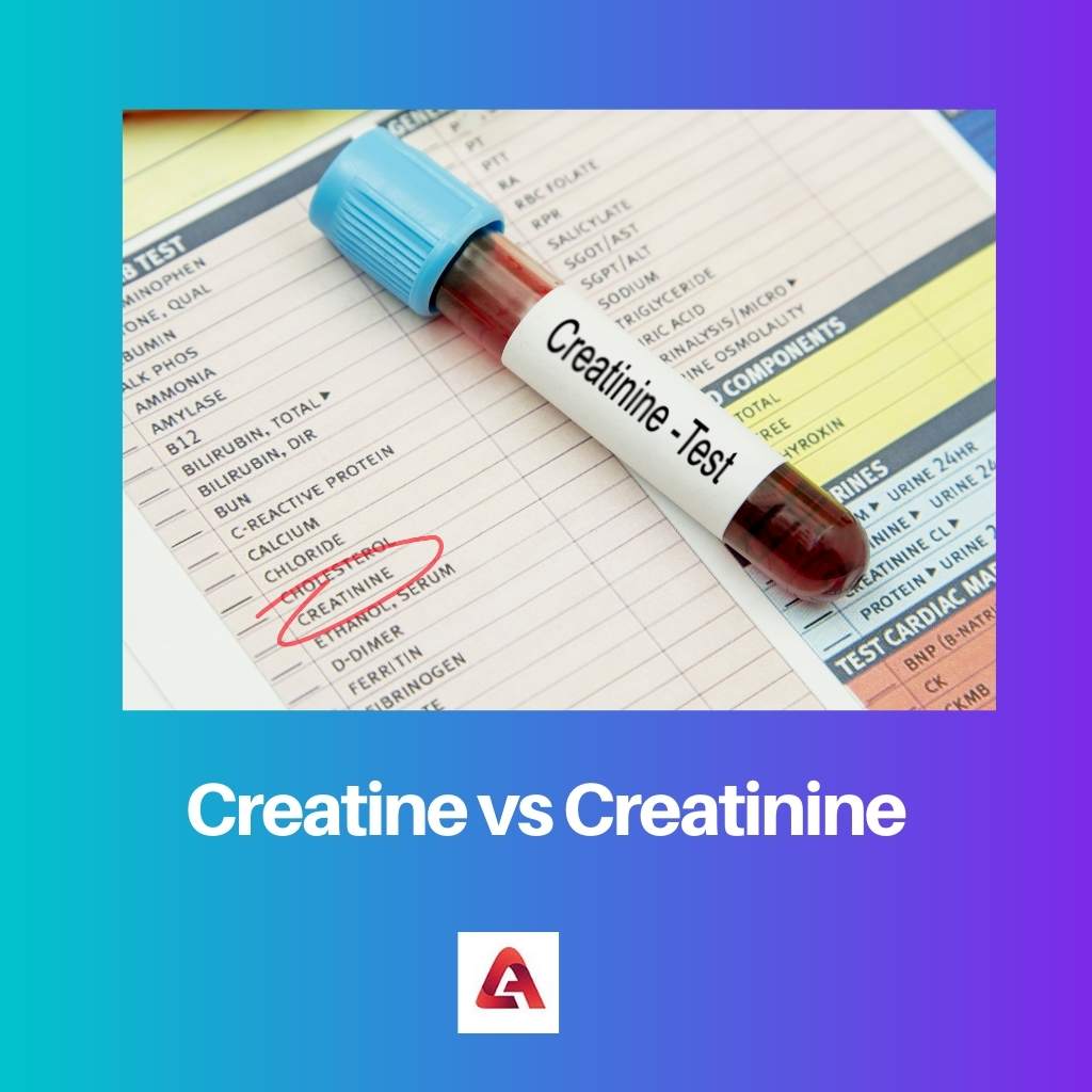 Creatine vs Creatinine