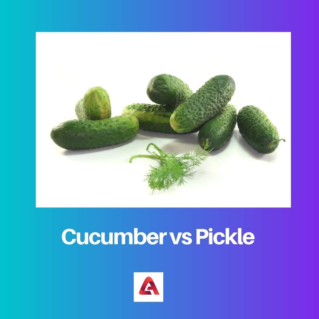 Cucumber vs Pickle