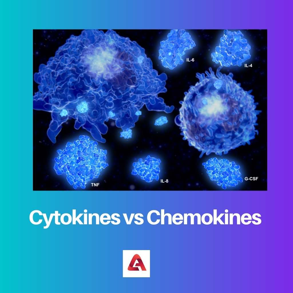 Cytokines vs Chemokines