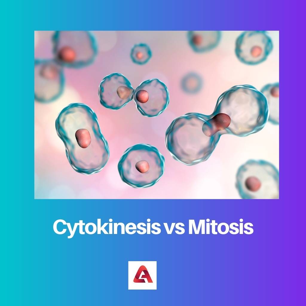 Cytokinesis vs Mitosis
