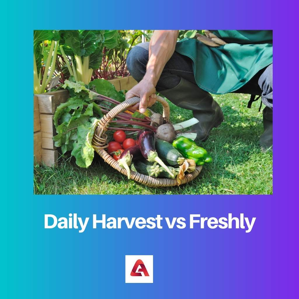 Daily Harvest vs Freshly