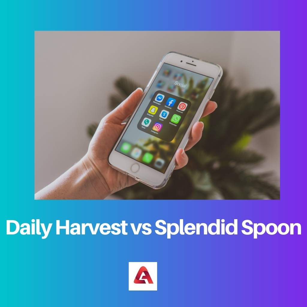 Daily Harvest vs Splendid Spoon