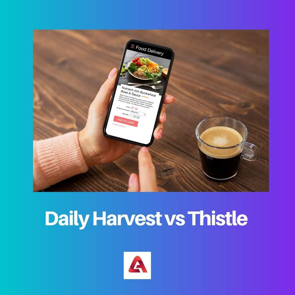 Daily Harvest vs Thistle