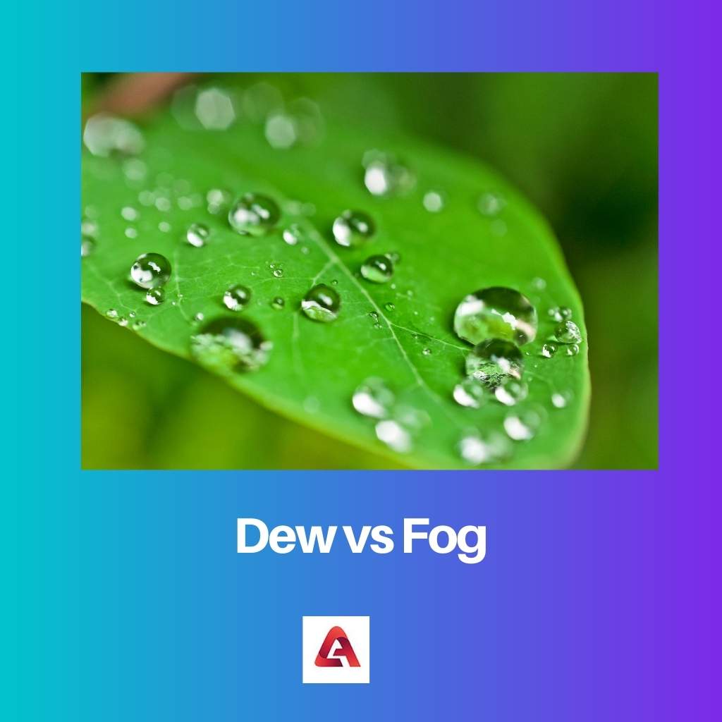 Dew vs Fog