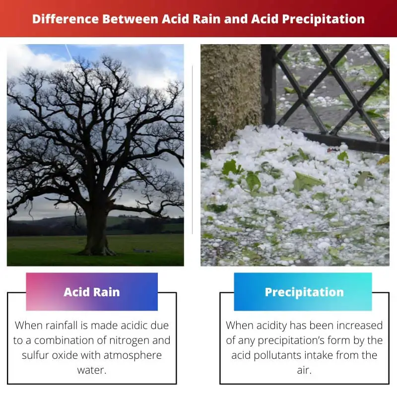 Difference Between Acid Rain and Acid Precipitation