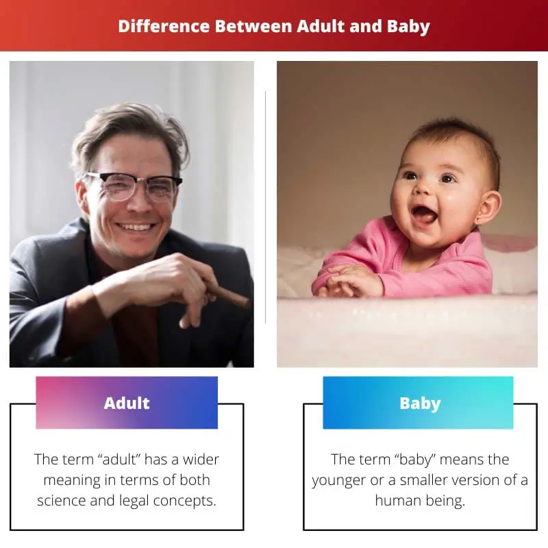 Difference Between Adult and Baby
