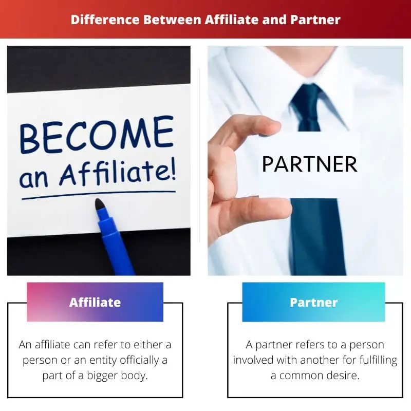 Difference Between Affiliate and Partner