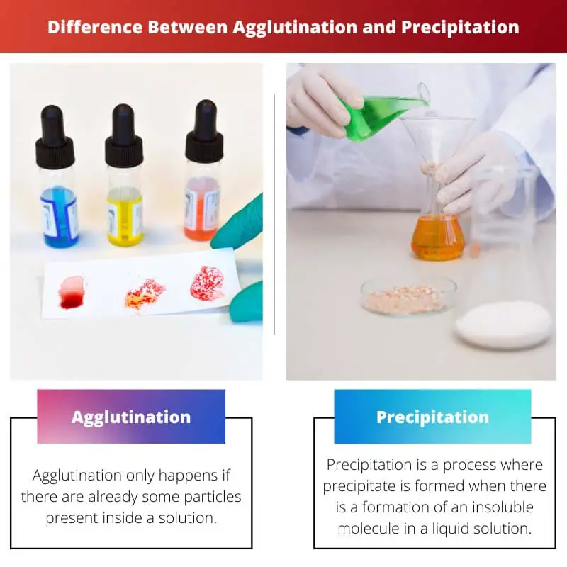 Difference Between Agglutination and Precipitation