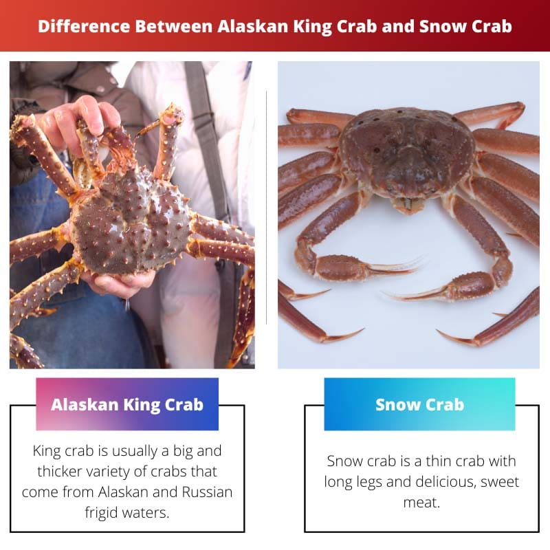 Difference Between Alaskan King Crab and Snow Crab