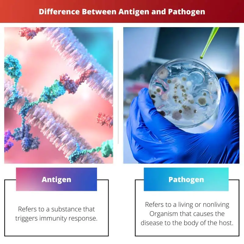 Difference Between Antigen and Pathogen