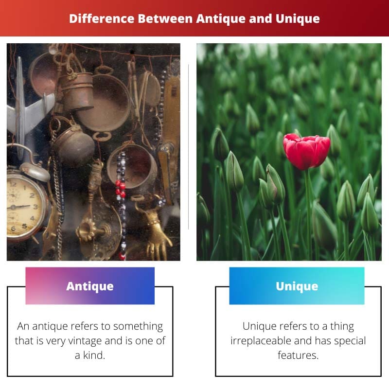 Difference Between Antique and Unique