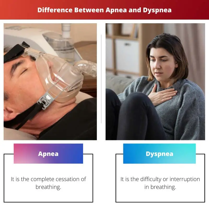 Difference Between Apnea and Dyspnea