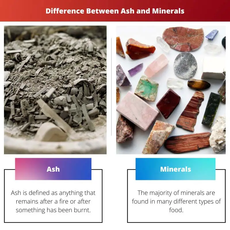 Difference Between Ash and Minerals