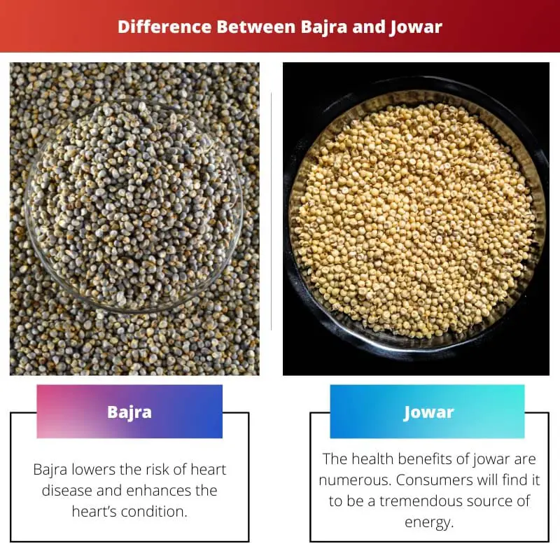 Difference Between Bajra and Jowar