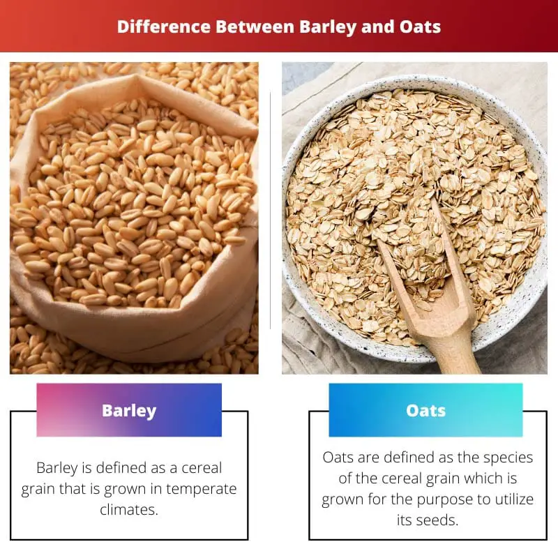 Difference Between Barley and Oats