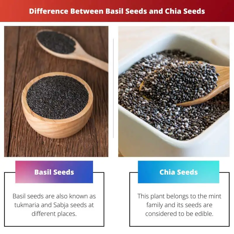 Difference Between Basil Seeds and Chia Seeds