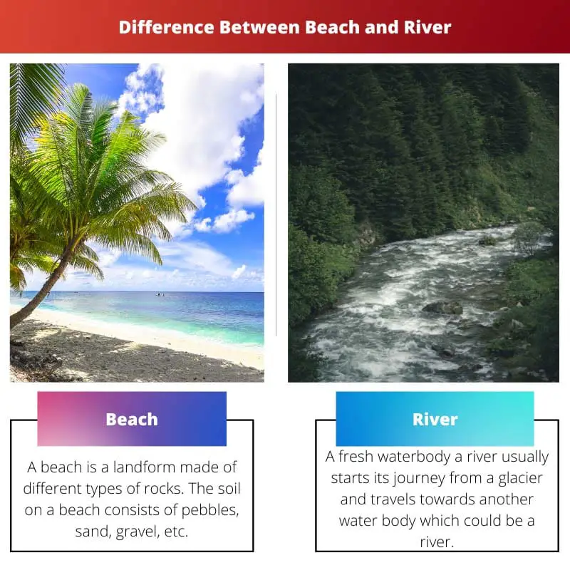 Difference Between Beach and River