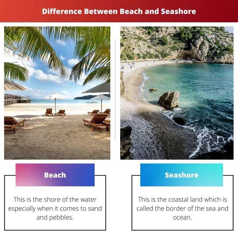 Difference Between Beach and Seashore
