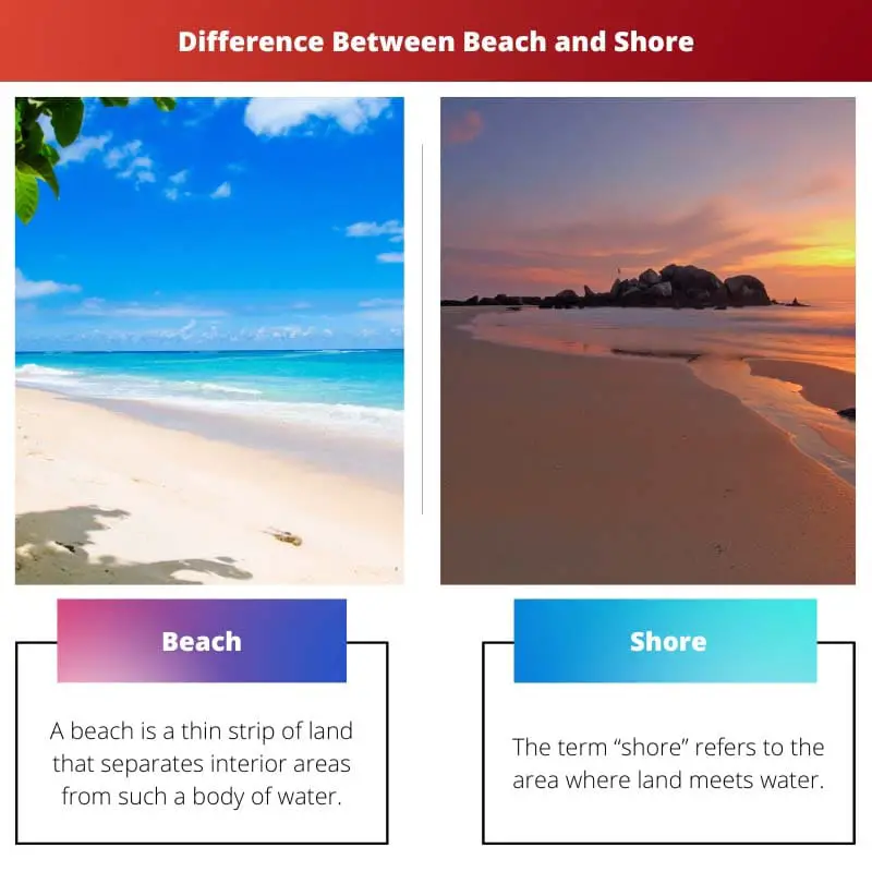 Difference Between Beach and Shore