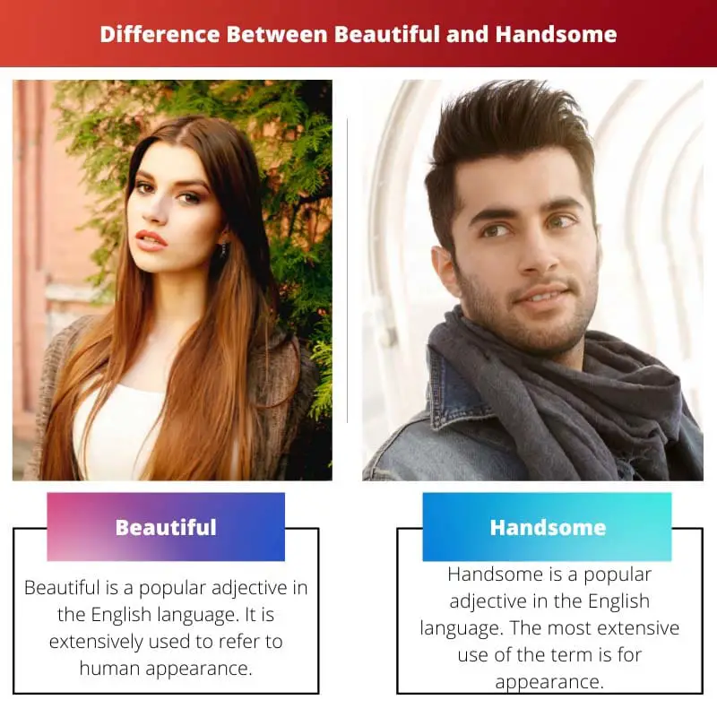 Difference Between Beautiful and Handsome