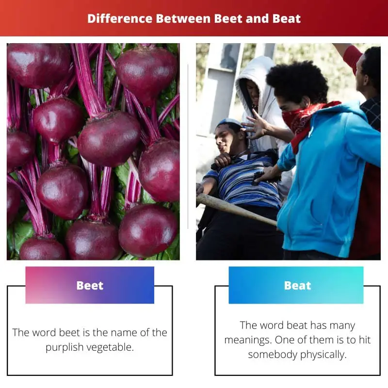 Difference Between Beet and Beat