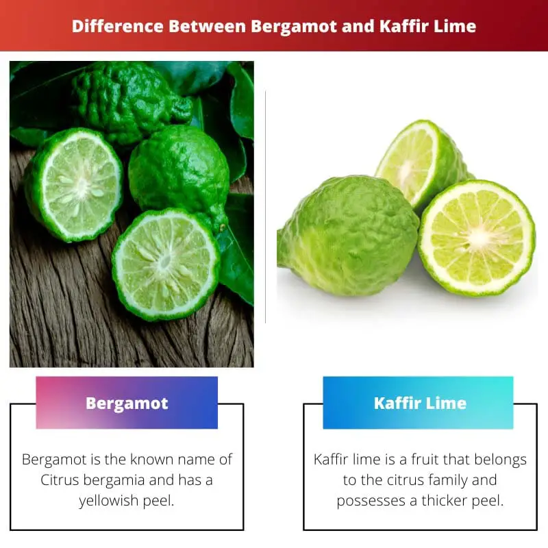Difference Between Bergamot and Kaffir Lime