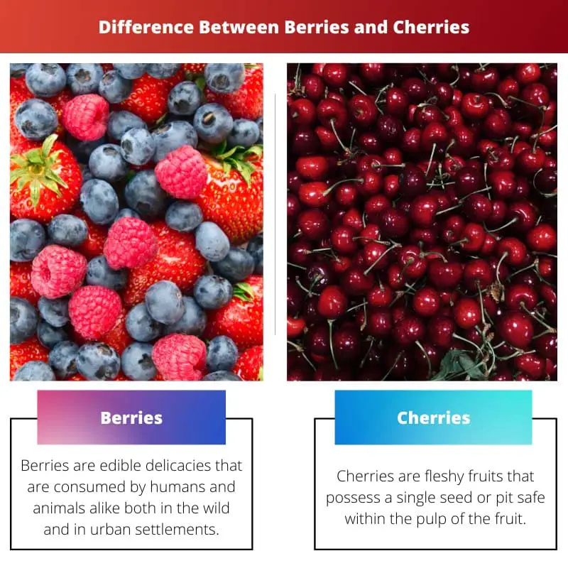 Difference Between Berries and Cherries