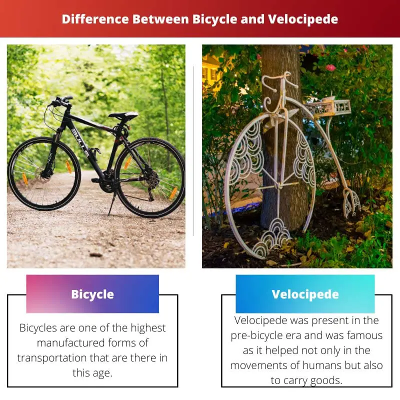 Difference Between Bicycle and Velocipede