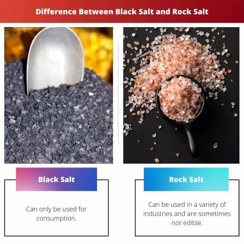 Black Salt vs Rock Salt Difference and Comparison