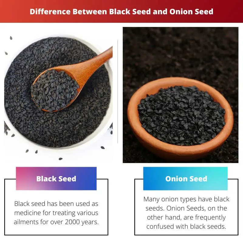 Difference Between Black Seed and Onion Seed